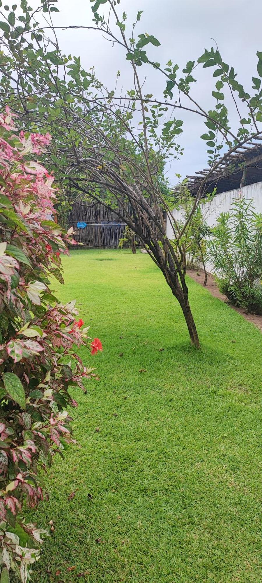Pousada Sunshine Patacho Rota Ecologica Dos Milagres Pôrto de Pedras Exterior foto
